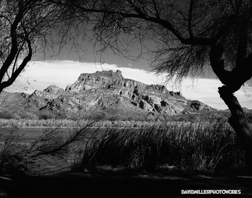 New Mexico