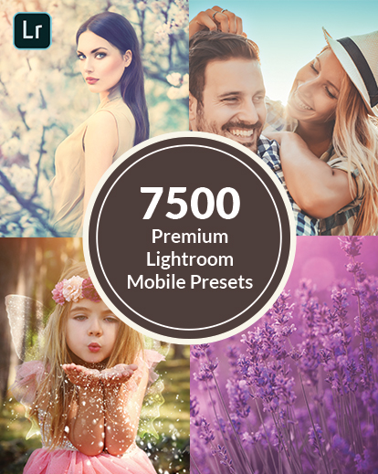 lightroom mobile presets feature