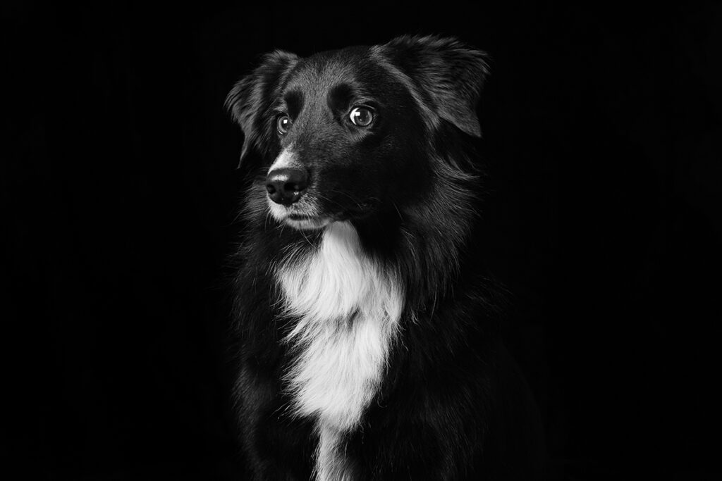 Emma O'Brien black and white