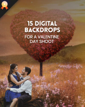 valentine, wedding photography, photography card templates