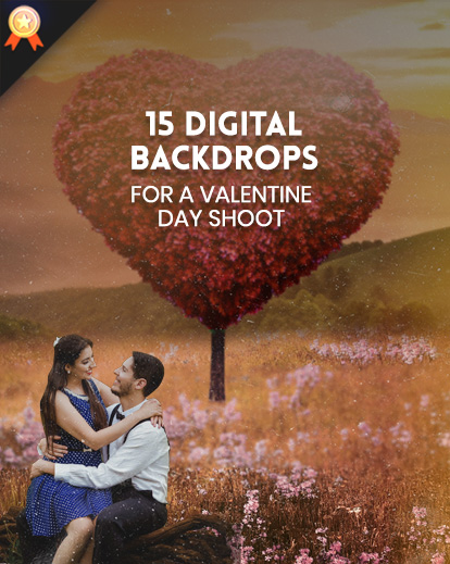 valentine, wedding photography, photography card templates