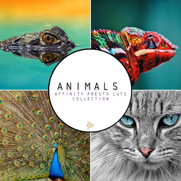 affinity photo, affinity photo presets bundle, presets affinity photo, affinity software bundle, presets bundle