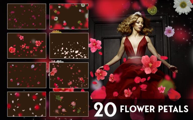 flower overlays
