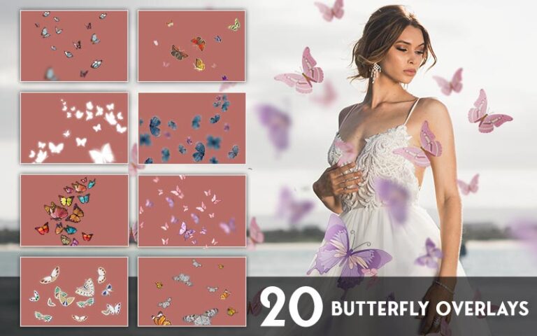 butterfly effect