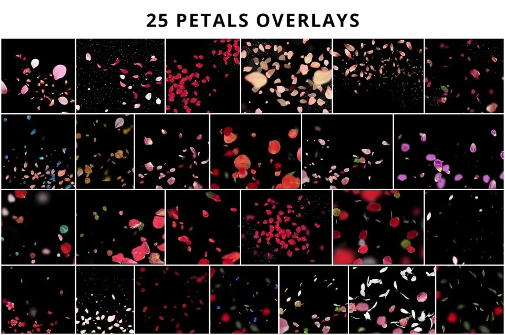 petals effect