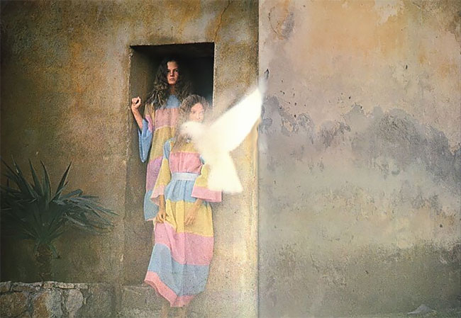 david hamilton photography