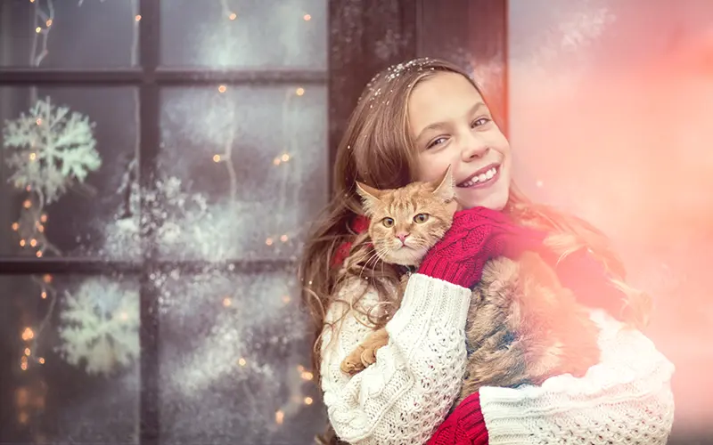 Christmas overlay example of girl hugging cat near frosty window with warm light glow
