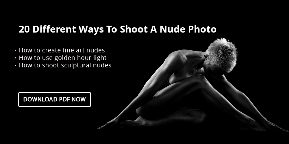 freebie banner