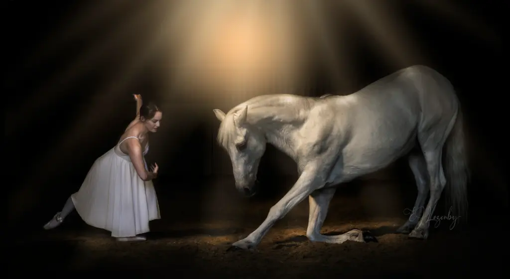 fine art photos