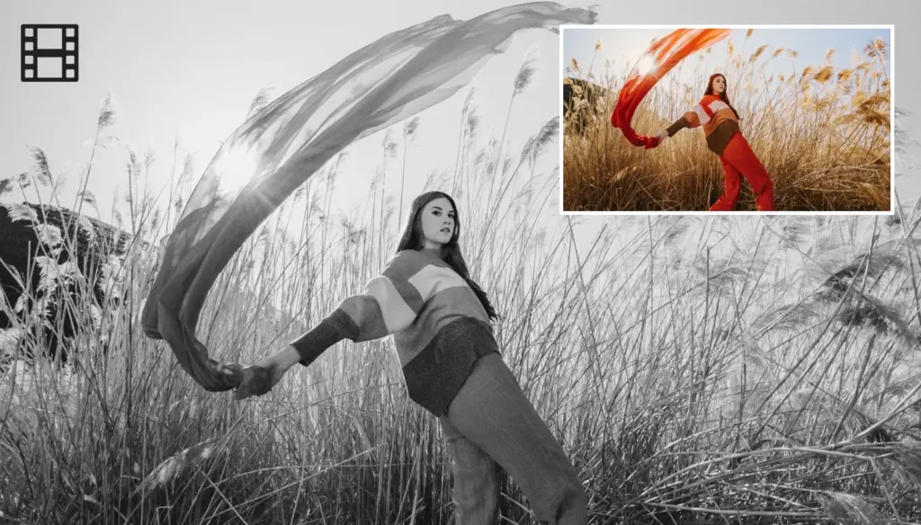 Lightroom ai presets feature image