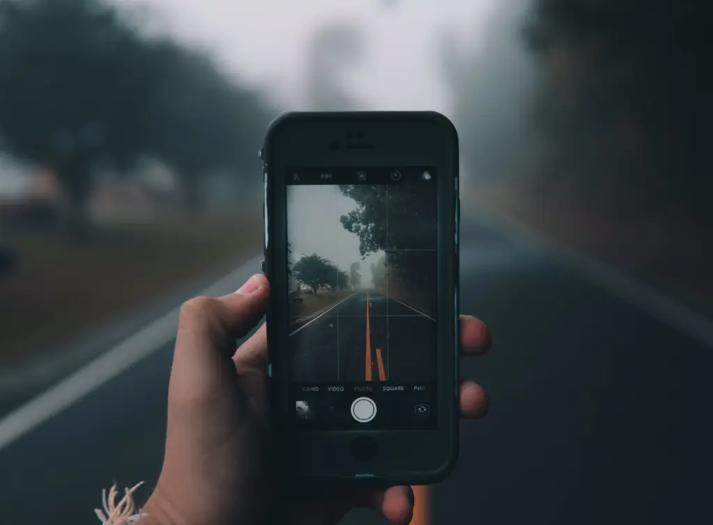 a person holding a phone