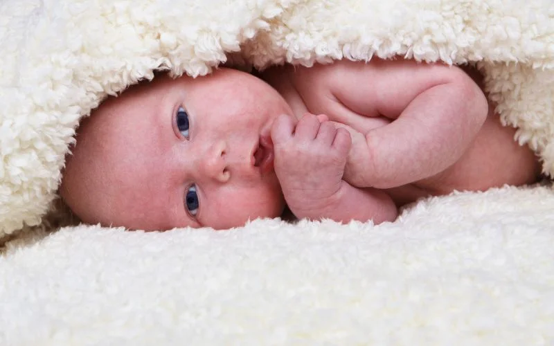 Newborn peeking out from under a cream fluffy blanket with one hand near their mouth