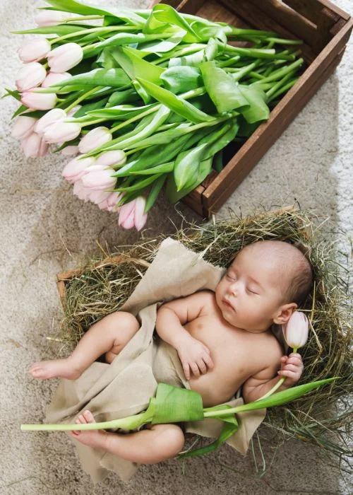 Newborn poses for beginners with baby wrapped and resting among green tulip leaves