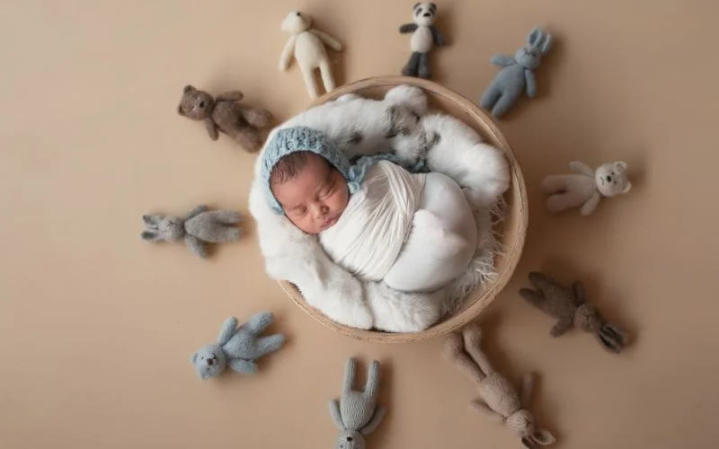Cute newborn pose with baby swaddled in a wooden bowl surrounded by soft toy animals