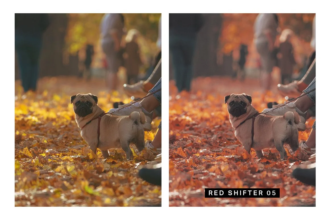 autumn preset