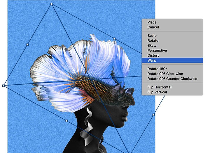 Using Wrap Tool