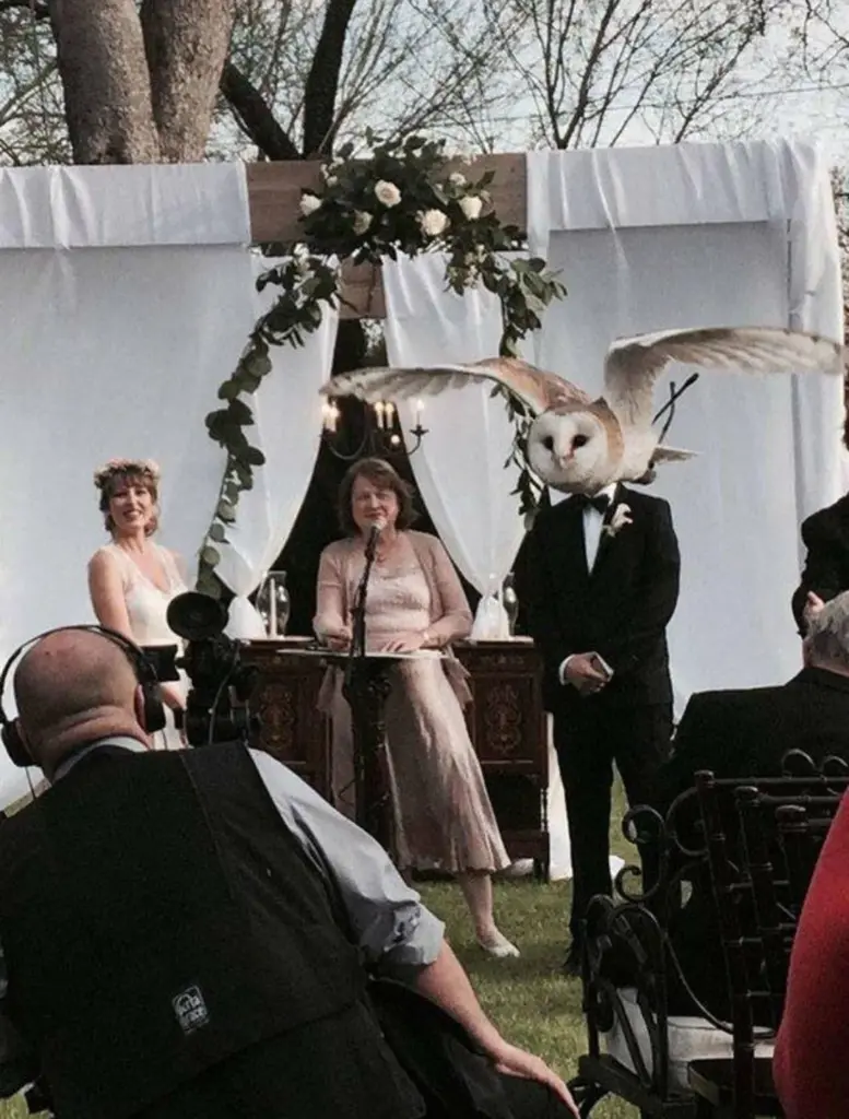 perfectly timed pictures funny