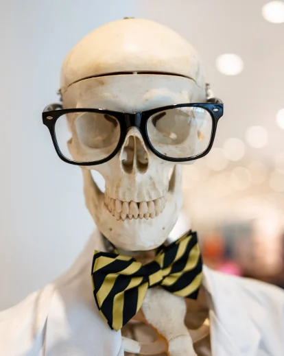 skeleton with VR