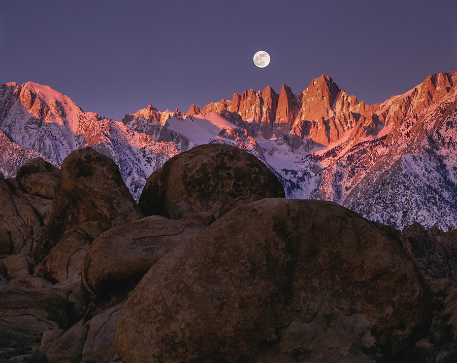 david muench