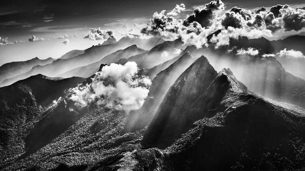 Photographers work on forms photographs