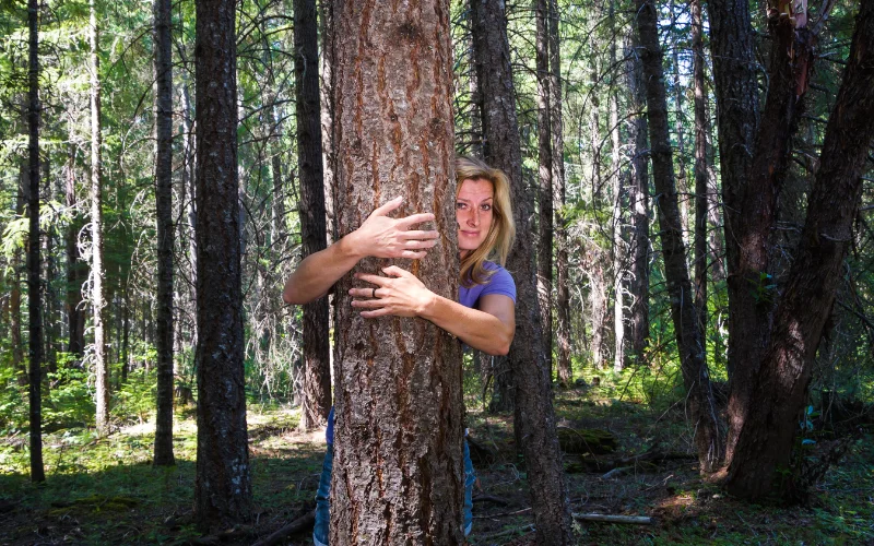 Hiker embracing a large tree in a forest setting, creating a playful and nature-inspired hiking pose picture.
