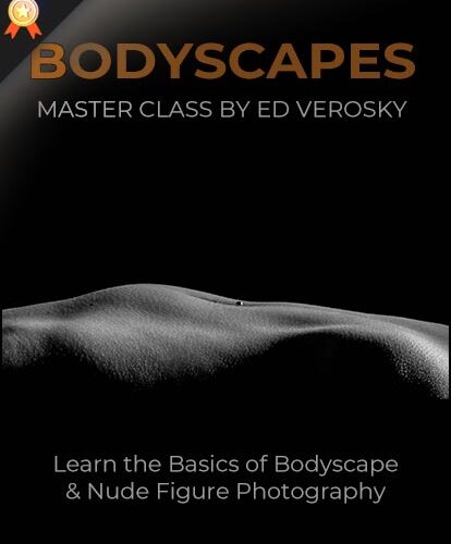 nude photography bodyscapes