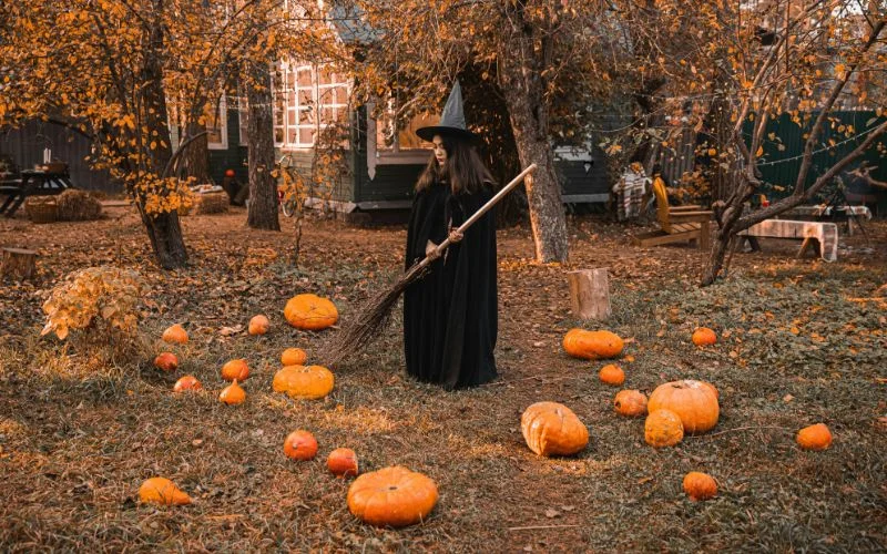take a picture in a pumpkin patch