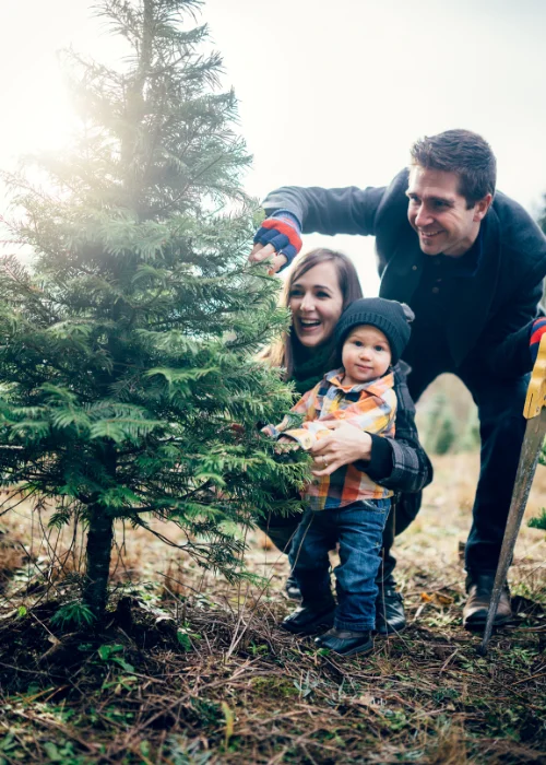 Christmas tree farm photoshoot ideas
