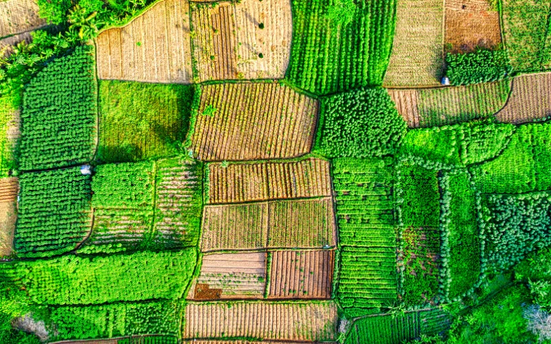 Aerial photo