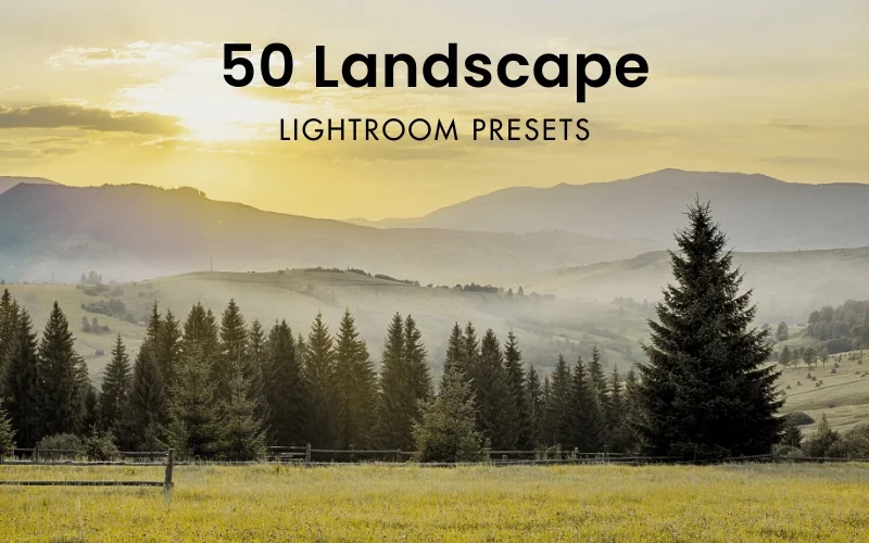 Adobe Lightroom addons, best Lightroom add ons, Adobe Lightroom presets, Lightroom presets, presets for Lightroom, Lightroom resources
