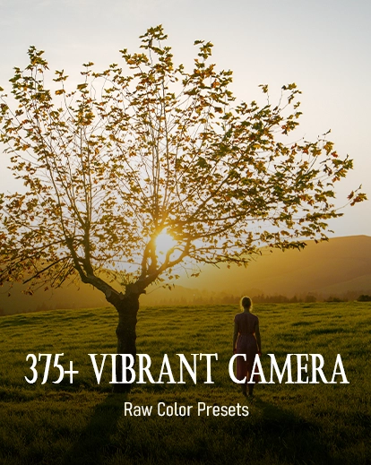 Vibrant Camera Raw Color Presets, Premium Photography Addons