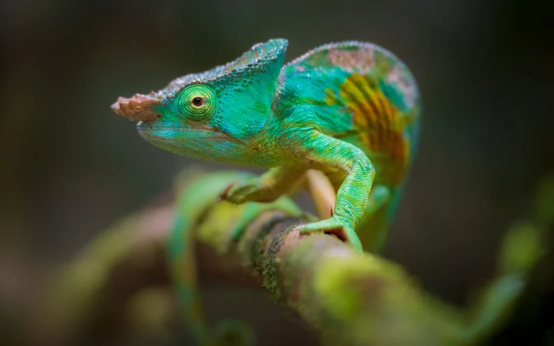 Creative focus photography showing selective focus on subject