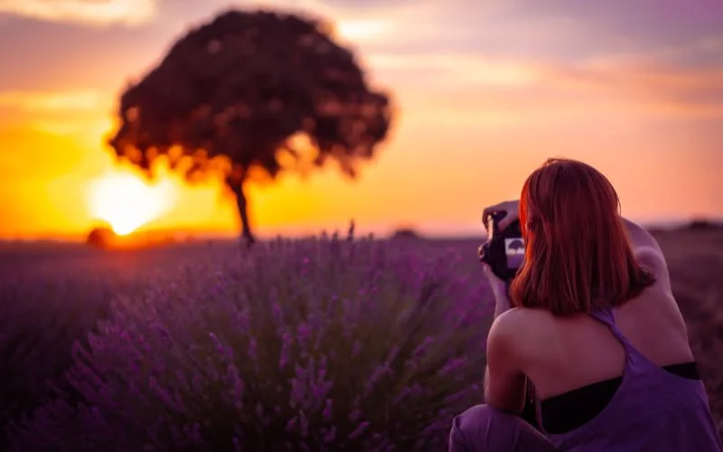 Photographer capturing a lone tree and starburst sun effect in a lavender field at sunset