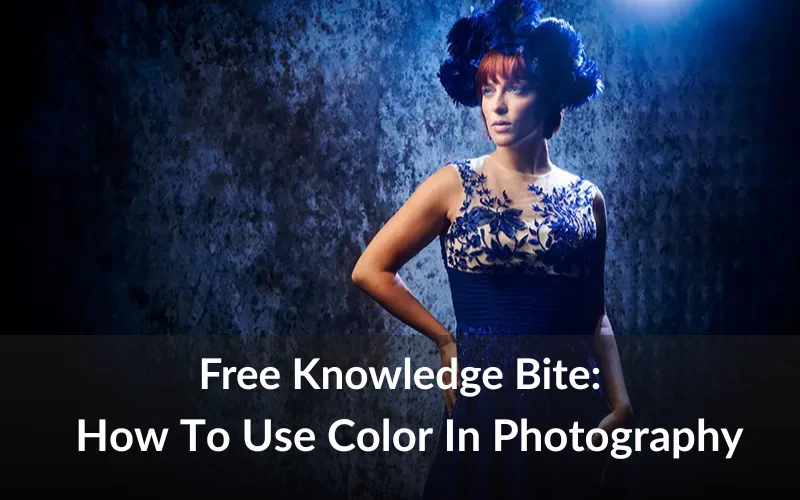 Free Knowledge Bite: How To Use Color In Photography